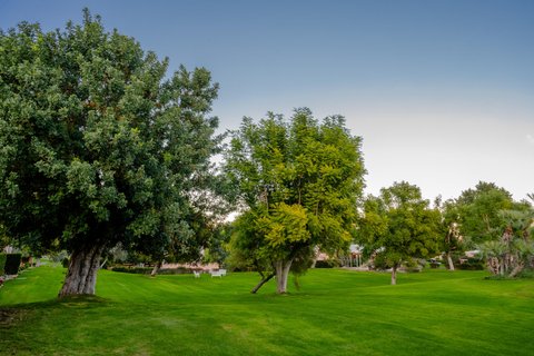 46950 Amir Drive, Palm Desert, CA 92260 photo 35