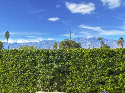 53 Via Del Rossi, Rancho Mirage, CA 92270 photo 41