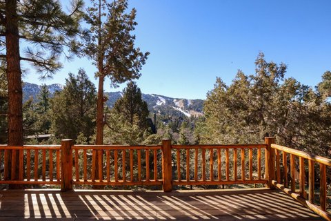 43615 Wolf Road, Big Bear Lake, CA 92315 photo 11