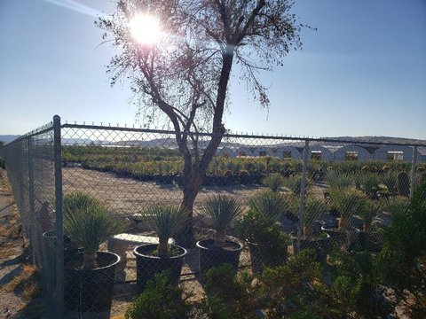00000 Mountain View Drive, Desert Hot Springs, CA 92241 photo 3