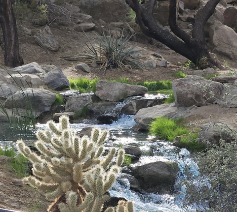 48485 Old Stone Trail, Palm Desert, CA 92260 photo 18