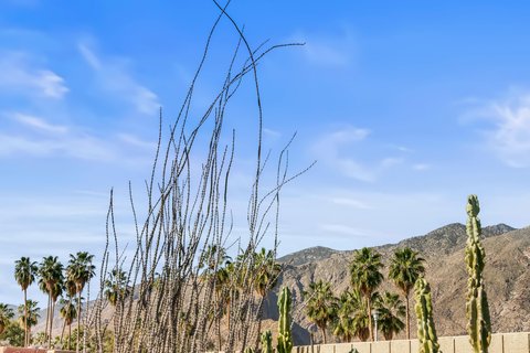 671 E Arenas Road, Palm Springs, CA 92262 photo 39