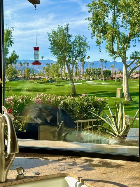 39 Blue River Drive, Palm Desert, CA 92211 photo 16