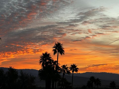 2313 N Janis Drive, Palm Springs, CA 92262 photo 52