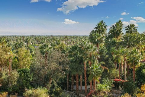 1716 Ridge Road, Palm Springs, CA 92264 photo 22