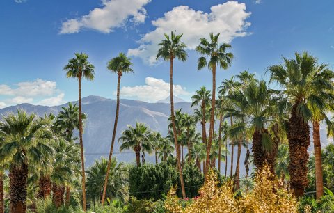 1716 Ridge Road, Palm Springs, CA 92264 photo 23