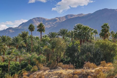 1716 Ridge Road, Palm Springs, CA 92264 photo 27