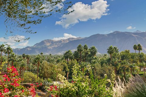1716 Ridge Road, Palm Springs, CA 92264 photo 29