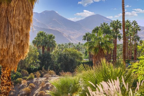 1716 Ridge Road, Palm Springs, CA 92264 photo 31