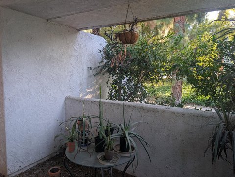 5301 E Waverly Drive, 183, Palm Springs, CA 92264 photo 13