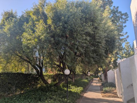5301 E Waverly Drive, 183, Palm Springs, CA 92264 photo 35