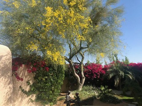 49240 Jfk Trail, Palm Desert, CA 92260 photo 58
