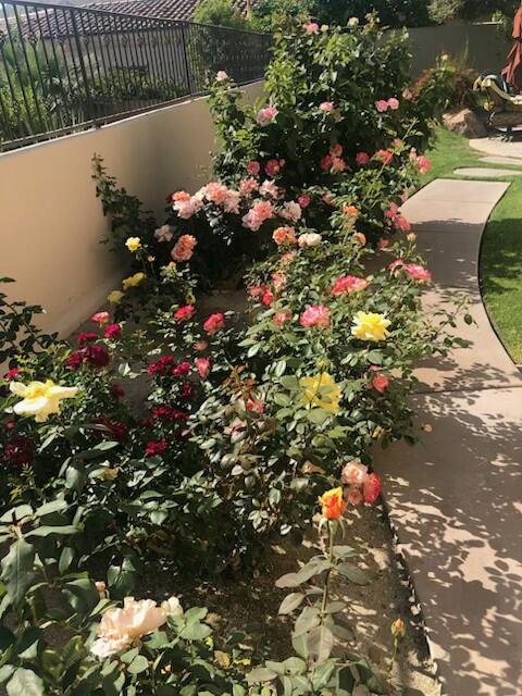 49240 Jfk Trail, Palm Desert, CA 92260 photo 59