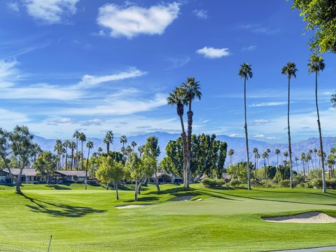 209 Bouquet Canyon Drive, Palm Desert, CA 92211 photo 42