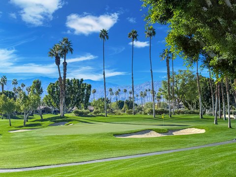 209 Bouquet Canyon Drive, Palm Desert, CA 92211 photo 44