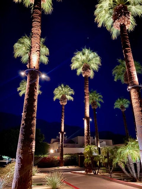 415 Village Square W, Palm Springs, CA 92262 photo 64
