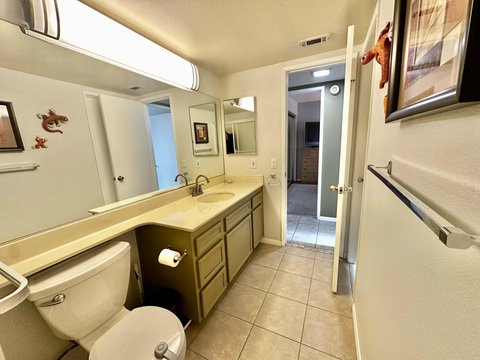 1679 Sunflower Court N, Palm Springs, CA 92262 photo 27