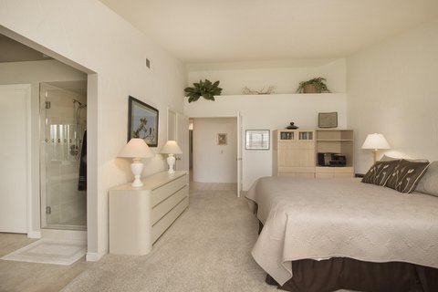 155 Desert Falls Drive E, Palm Desert, CA 92211 photo 12