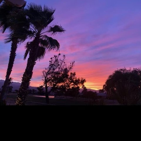 81876 Camino Los Milagros, Indio, CA 92203 photo 45