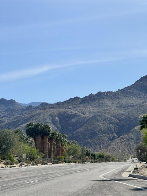 20 Ocotillo, Palm Desert, CA 92260 photo 36