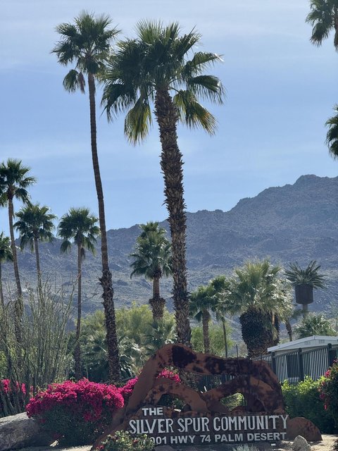 20 Ocotillo, Palm Desert, CA 92260 photo 37