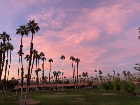 38612 Wisteria Drive, Palm Desert, CA 92211 photo 1