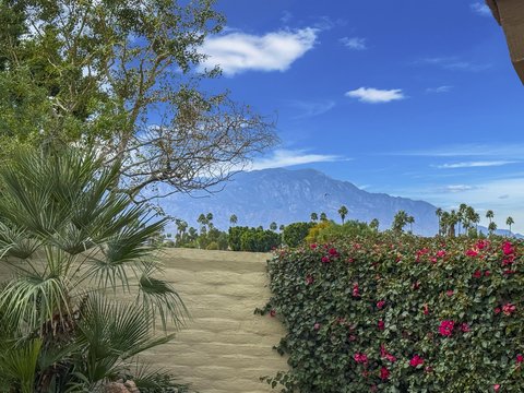 149 Blue River Drive, Palm Desert, CA 92211 photo 46