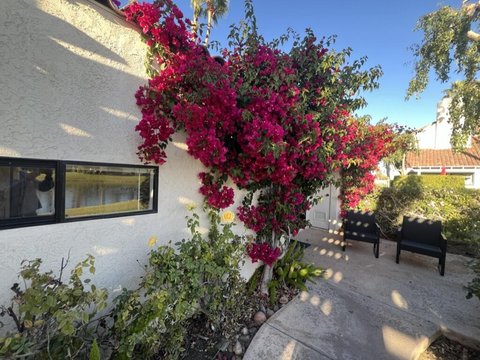 442 Sunningdale Drive, Rancho Mirage, CA 92270 photo 40