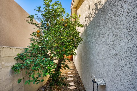 51800 Avenida Ramirez, La Quinta, CA 92253 photo 20