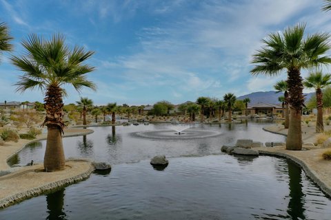 80 Zinfandel, Rancho Mirage, CA 92270 photo 60