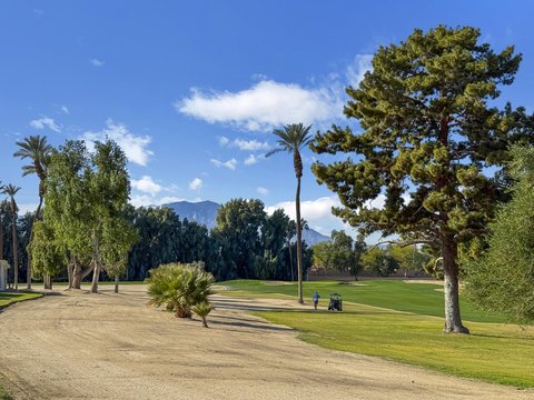 40141 Baltusrol Circle, Palm Desert, CA 92211 photo 20