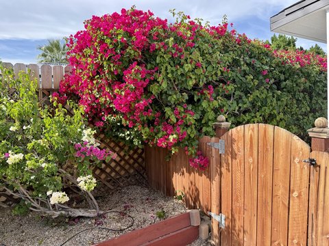 2765 N Cerritos Road, Palm Springs, CA 92262 photo 22