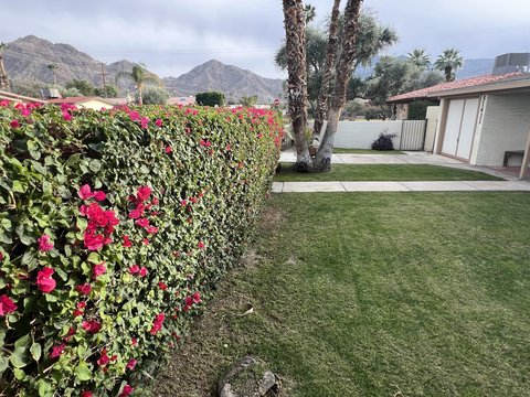 51431 Avenida Navarro, La Quinta, CA 92253 photo 3