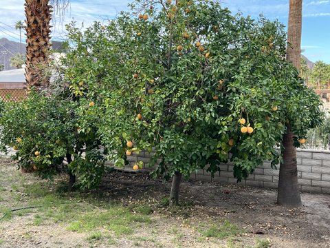 0 Avenida Navarro, La Quinta, CA 92253 photo 4