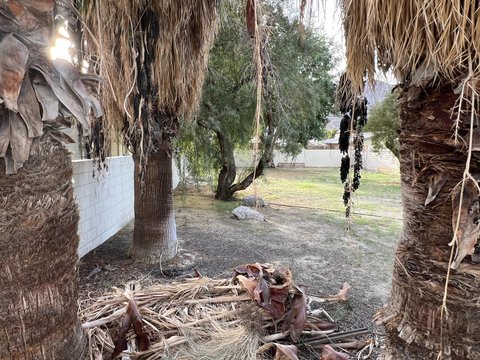 0 Avenida Navarro, La Quinta, CA 92253 photo 5
