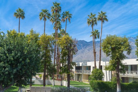 507 Desert Lakes Circle, Palm Springs, CA 92264 photo 26