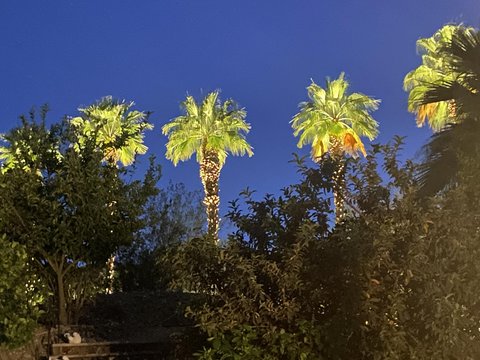 14 Santa Rosa Mountain Lane, Rancho Mirage, CA 92270 photo 59