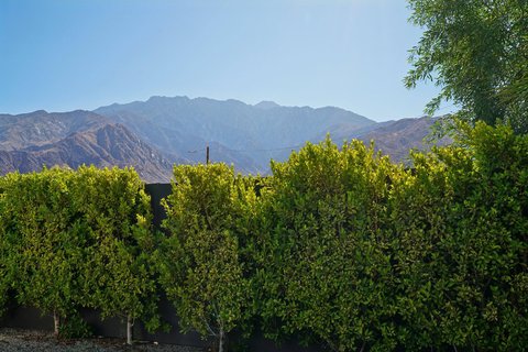 386 W Rosa Parks Road, Palm Springs, CA 92262 photo 50