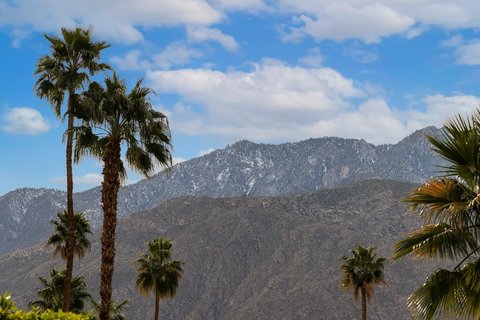 282 N Orchid Tree Lane, Palm Springs, CA 92262 photo 38