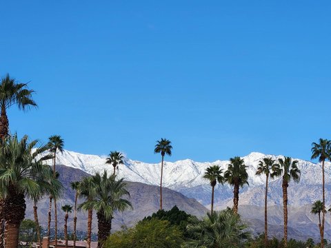 73502 Desert Greens Drive S, Palm Desert, CA 92260 photo 48