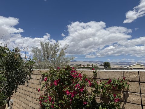39912 Felicita Parkway, Palm Desert, CA 92211 photo 30