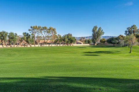 41022 Woodhaven Drive E, Palm Desert, CA 92211 photo 29