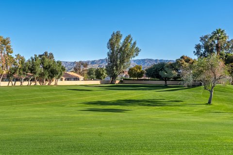 41022 Woodhaven Drive E, Palm Desert, CA 92211 photo 7