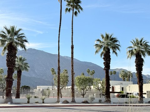 1655 E Palm Canyon Drive, 618, Palm Springs, CA 92264 photo 13