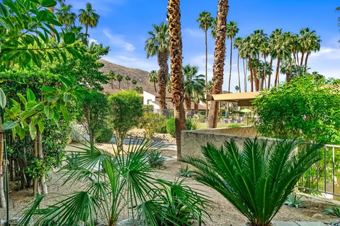 1552 S Camino Real, 127, Palm Springs, CA 92264 photo 32