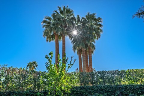 72776 Joshua Tree Street, Palm Desert, CA 92260 photo 47