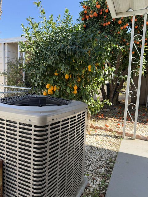 601 N Kirby Street, 557, Hemet, CA 92545 photo 35