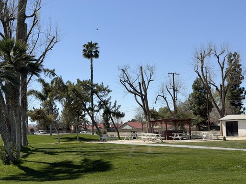 601 N Kirby Street, 557, Hemet, CA 92545 photo 38