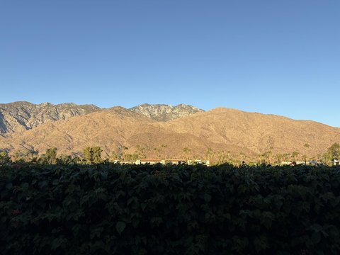 1655 E Palm Canyon Drive, 319, Palm Springs, CA 92264 photo 2