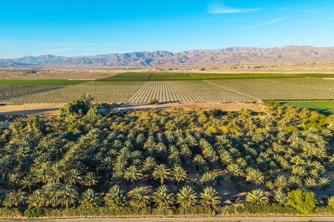 49300 Polk Street, Coachella, CA 92236 photo 25